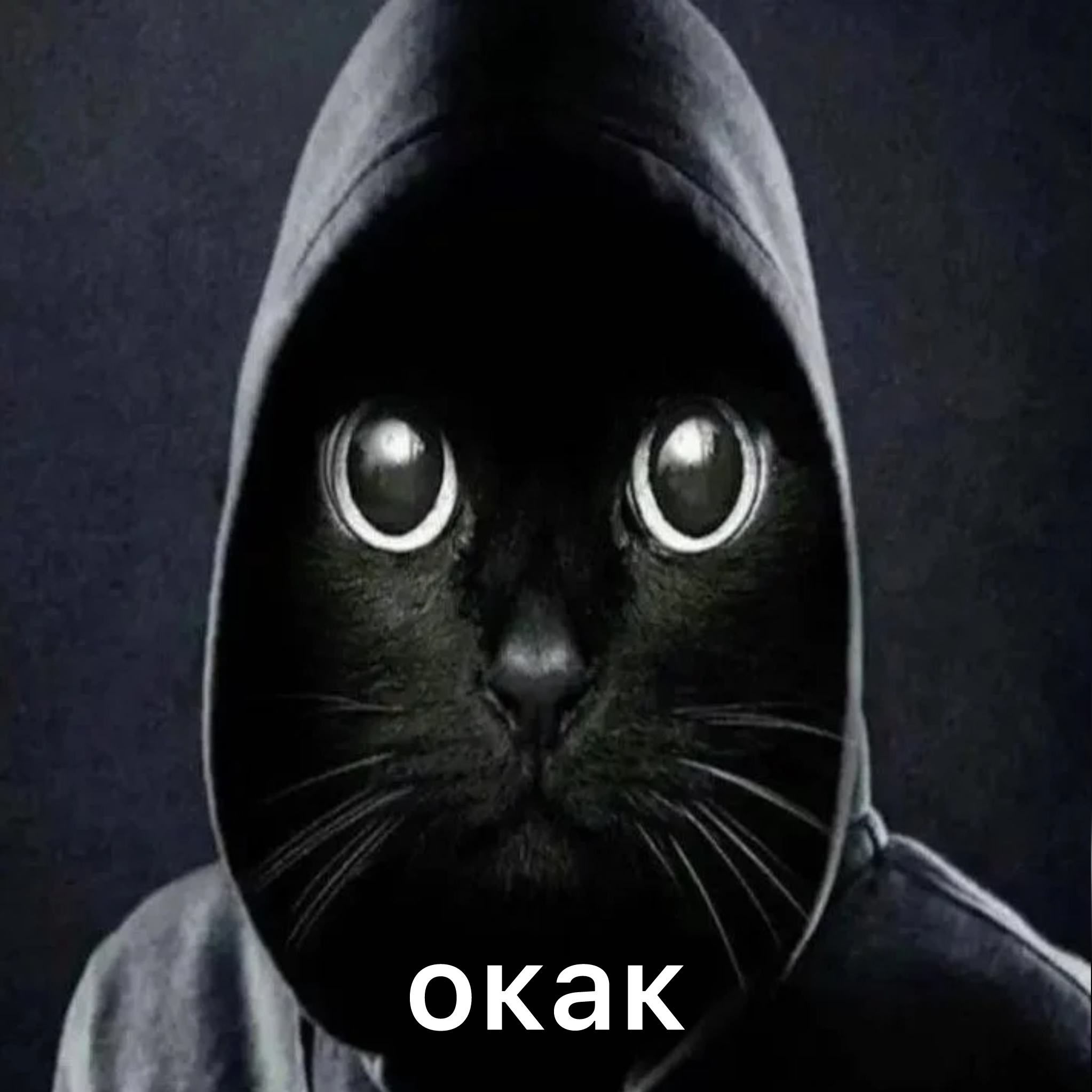 OKAK Coin